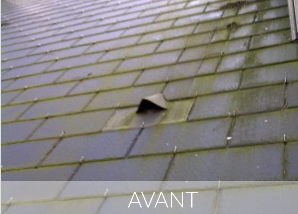 Toiture moussue démoussée puis repeinte à la résine, avant travaux
